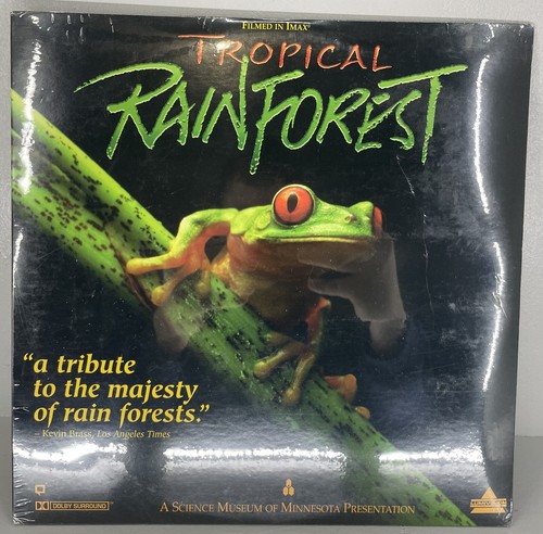 Tropical rainforest min - rainforest, 40